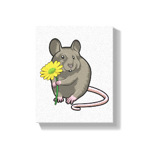 Rat with yellow Flower Canvas Print