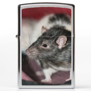 Rat Zippo Lighter