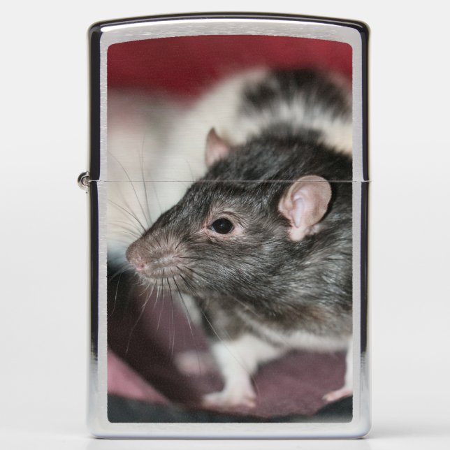 Rat Zippo Lighter (Front)