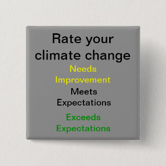 Rate your Climate Change Pinback Button