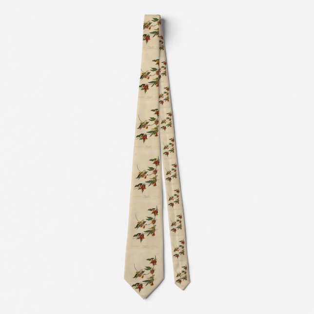 Rathbone (Yellow) Warbler Audubon Birds of America Neck Tie (Front)