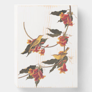 Rathbone's Warbler Song Bird on Crossvine Wooden Box Sign