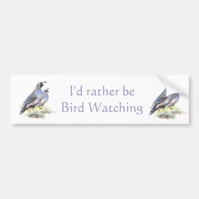 Rather be Bird Watching California Quail Quote Fun Bumper Sticker (Front)