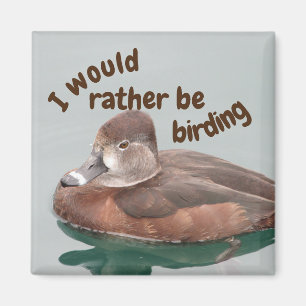 Rather Be Birding Ring-necked Duck Photo Bird Magnet