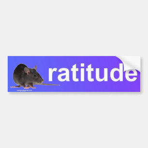 ratitude bumper sticker