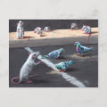 Rats and Pigeons Postcard
