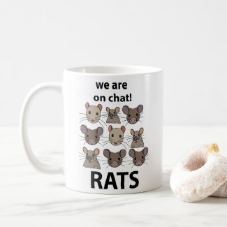 Rats Animal We Are On Chat Funny Rats