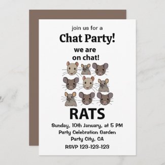 Rats Animal We Are On Chat Funny Rats