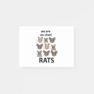 Rats Animal We Are On Chat Funny Rats