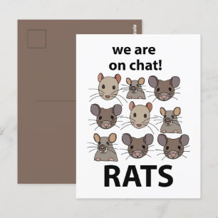 Rats Animal We Are On Chat Funny Rats Postcard