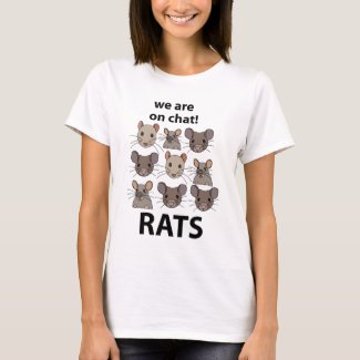 Rats Animal We Are On Chat Funny Rats