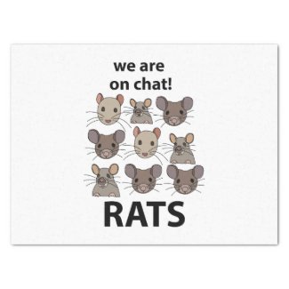 Rats Animal We Are On Chat Funny Rats