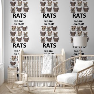 Rats Animal We Are On Chat Funny Rats