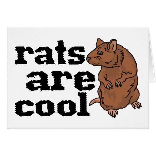 Rats Are Cool Cards (Front Horizontal)