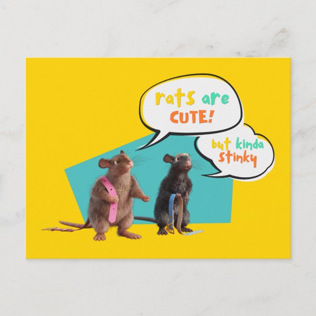 Rats Are Cute But Kinda Stinky Postcard (Front)