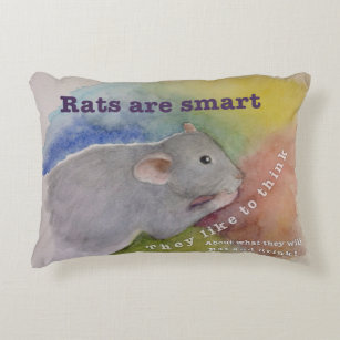 rat pillow pet