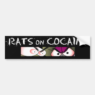 Rats Bumper Sticker