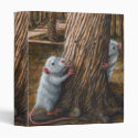 Rats by old tree hide and seek Binder