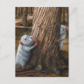 Rats by old tree hide and seek Postcard