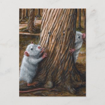 Rats By Old Tree Hide And Seek Postcard by KMCoriginals at Zazzle