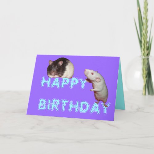 rats happy birthday card