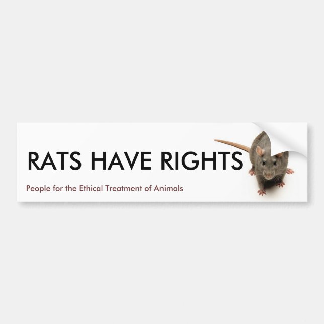 RATS HAVE RIGHTS BUMPER STICKER (Front)