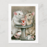 Rats On A Date Postcard at Zazzle
