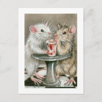 Rats On A Date Postcard by KMCoriginals at Zazzle