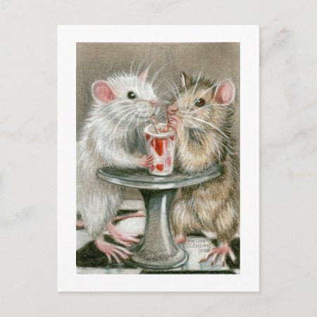 Rats On A Date Postcard