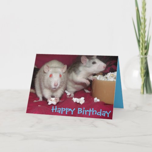 rats partying birthday card