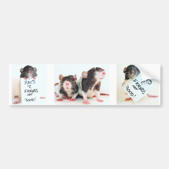 Rats R Friends Not Food 2 Bumper Sticker (Front)