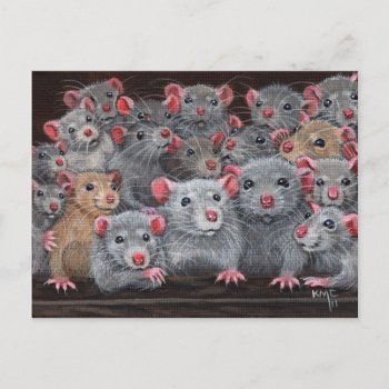 Rats Rattie Reunion 2 Postcard by KMCoriginals at Zazzle