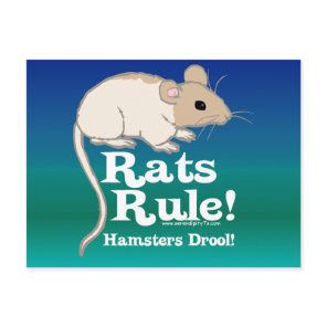 Rats Rule! Postcard