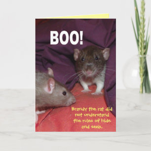 rats talking customizable greetings card