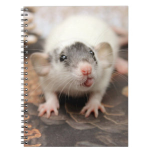 Rat's tongue! notebook