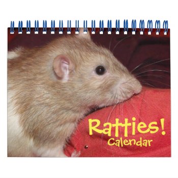 Ratties! (small) Calendar by Mindgoop at Zazzle