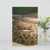 Rattle Snake (Standing Front)