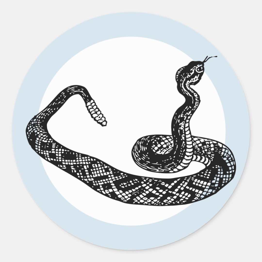 rattle snake classic round sticker | Zazzle