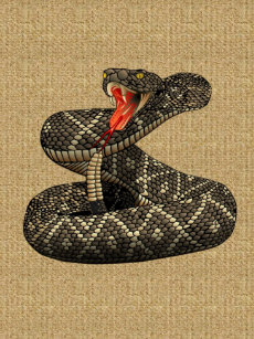 make your own snake blanket bundle up in yours today zazzle