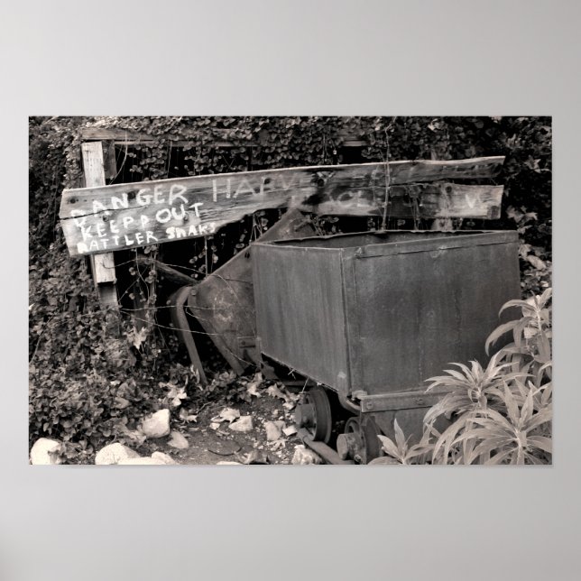 Rattler Snaks Poster (Front)