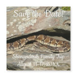 Rattlesnake at Shenandoah National Park