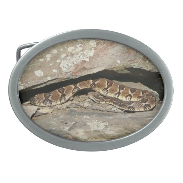 Rattlesnake at Shenandoah National Park Belt Buckle (Front)