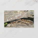 Rattlesnake at Shenandoah National Park Business Card
