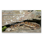 Rattlesnake at Shenandoah National Park Business Card Magnet