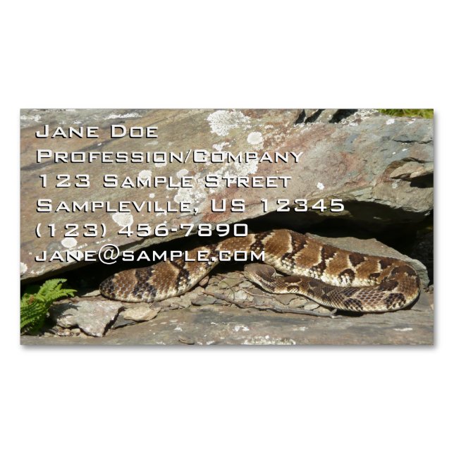 Rattlesnake at Shenandoah National Park Business Card Magnet (Front)