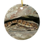 Rattlesnake at Shenandoah National Park Ceramic Ornament