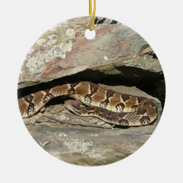 Rattlesnake at Shenandoah National Park Ceramic Ornament (Front)
