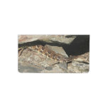 Rattlesnake at Shenandoah National Park Checkbook Cover