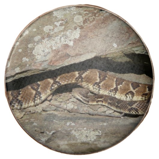 Rattlesnake at Shenandoah National Park Chocolate Covered Oreo (Front)
