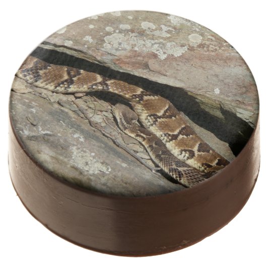 Rattlesnake at Shenandoah National Park Chocolate Covered Oreo (Angled)
